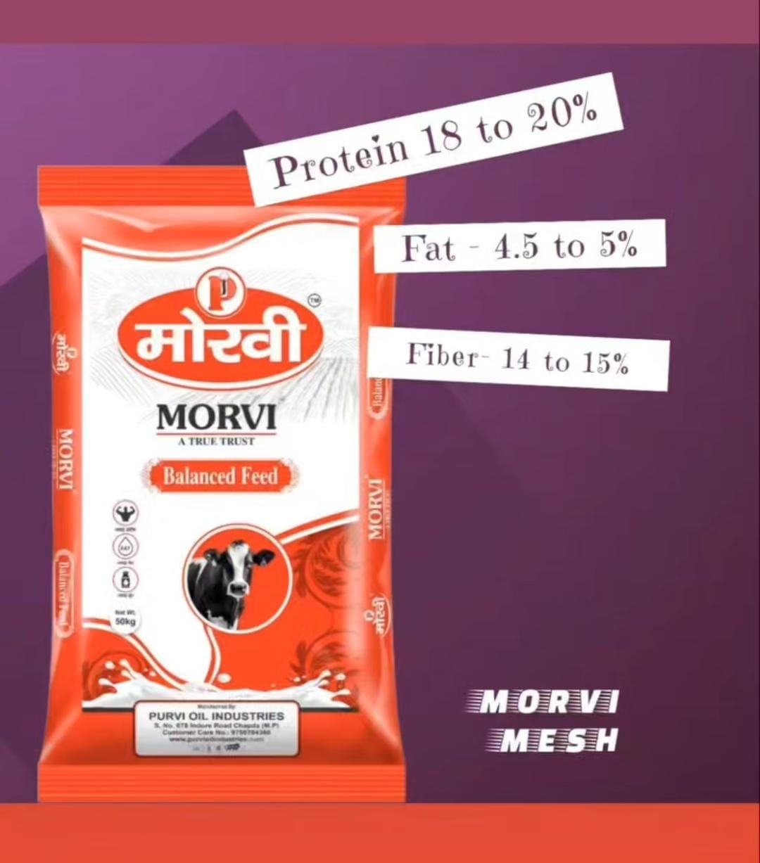 Morvi Mesh Red Pack